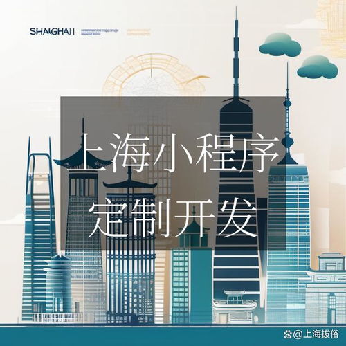 上海小程序开发定制公司 专业背后的风趣故事